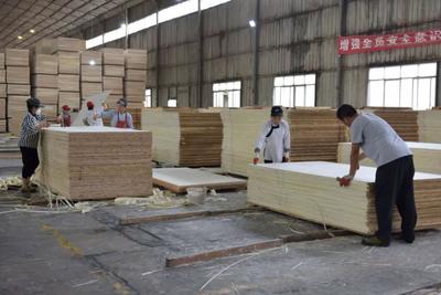 榕江 木材加工业与服装服饰批发双轮驱动，助推当地经济高质量发展