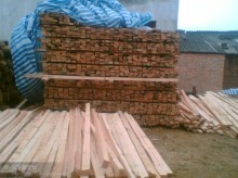 金华国际贸易 专业进口木材销售与加工服务